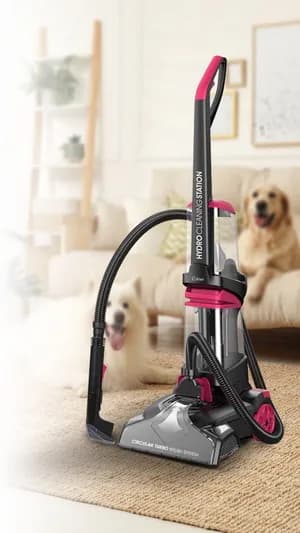 2-in-1 Carpet Cleaner & Washer 800W