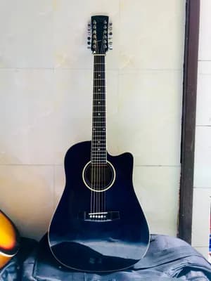 Ibanez Semi Acoustic 12-String Guitar