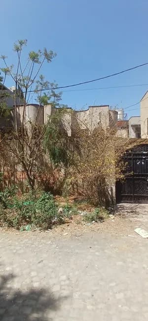 ቪላ 275 ካሬሜትር
