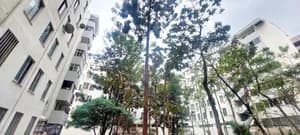 2 Bedroom Condo in Lideta