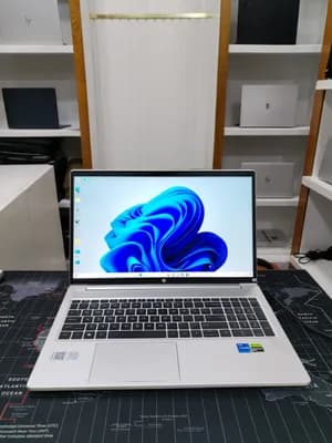 HP ProBook 450 G10 Laptop