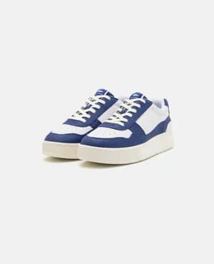 Lacoste Aceclip 41-43