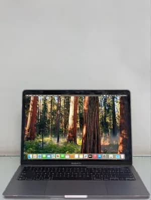 Apple MacBook Pro M2 256GB