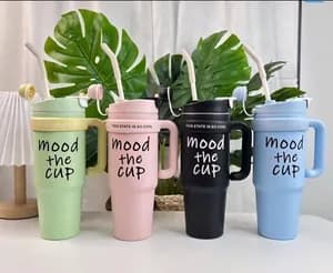 Double Layer Stainless Steel Tumblers with Straw