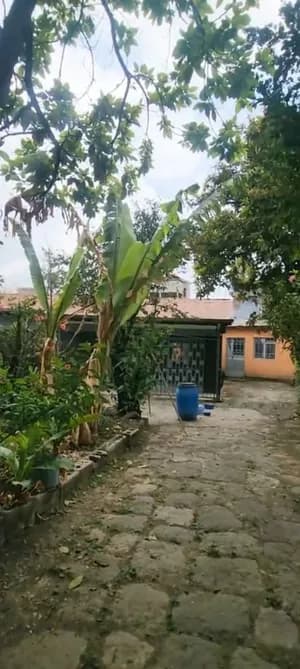 Bole Old Villa House 1040 sqm