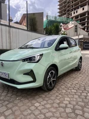 Changan E-Star 2024 Electric