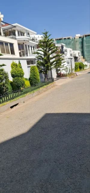 ባንክ ያለበት ቤት 250 ካሬ G+2