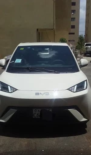 BYD Seagull 2024 Electric