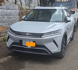 BYD Yuan Up Smart Drive 2025
