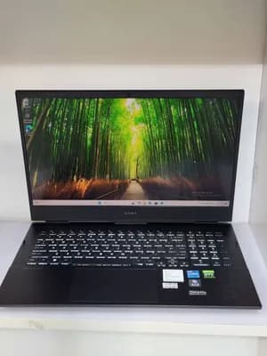 HP Omen 16 RTX 3060 Laptop