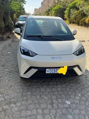 BYD Seagull 2024