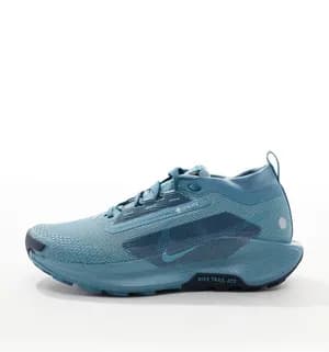 Nike Goretex Shoes