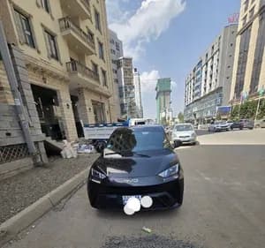 BYD Seagull 2024 Automatic