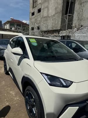 BYD SEAGULL
