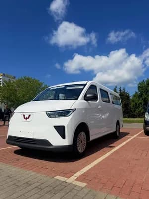 Wuling Hongguang EV MPV 14 Seater