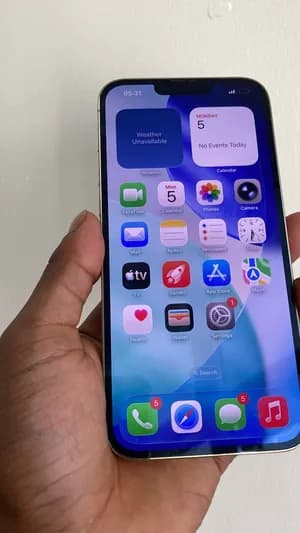 iPhone 13 Pro Max 512GB
