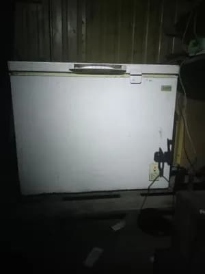 Deep Chest Freezer for Business Use