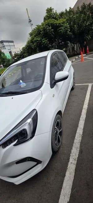 Changan Benben E-Star 2024 Electric