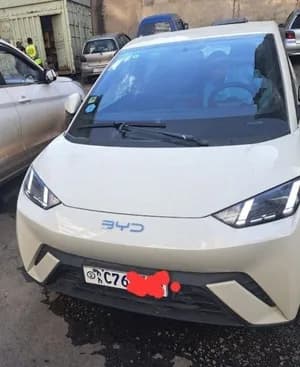 BYD Seagull 2025 Electric Automatic