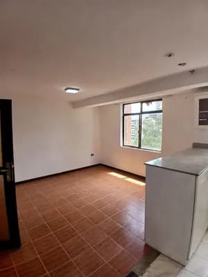 1 Bedroom Condominium in Bole Arabsa