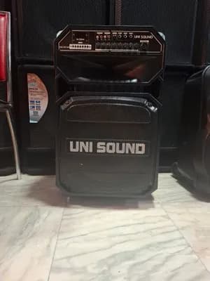 UNI SOUND DA15 Professional PA Speaker