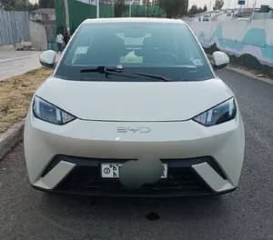 BYD e2 2024 Automatic