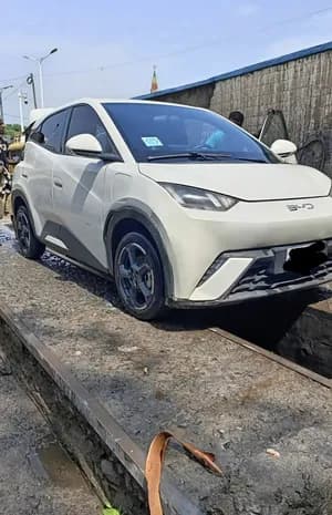BYD SEAGULL 2024/10 20000km