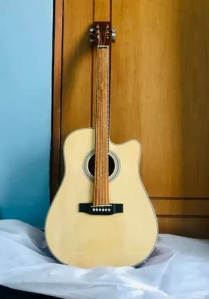 Luckystar Electric Acoustic Guitar