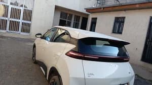Byd Seagull 2025