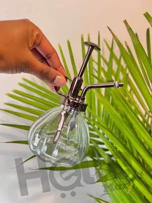 Glass Plant Mister Spray Bottle