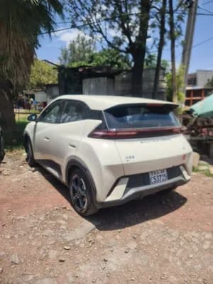BYD Segull 405