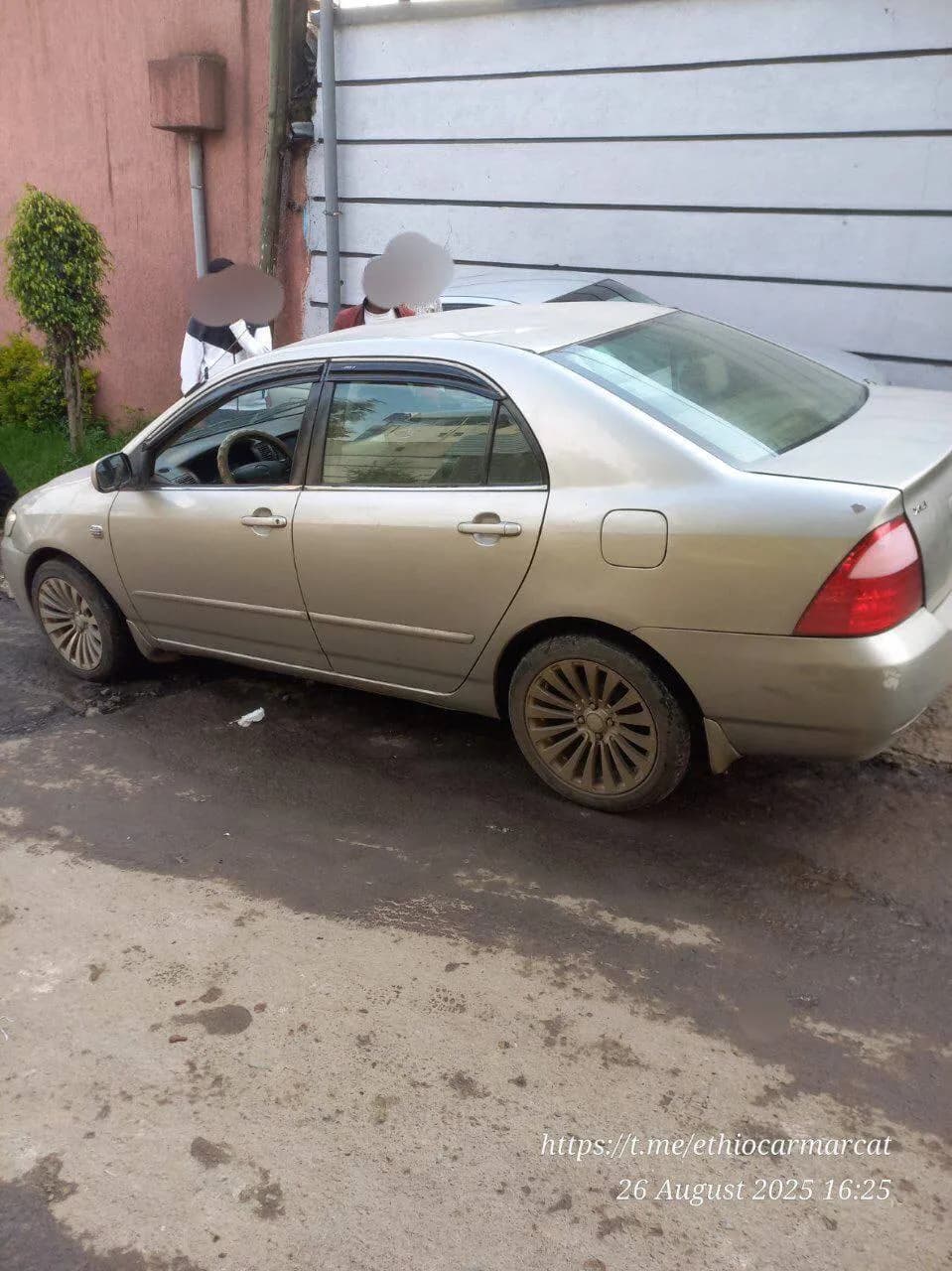 Listing photo 9