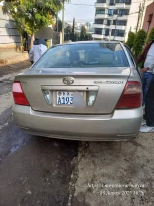 Toyota Corolla 2006/11