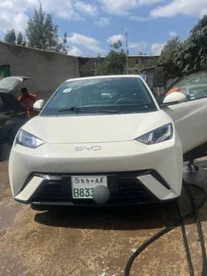 BYD Seagull 2024 Electric