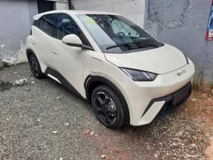 Brand New BYD Seagull 2025 Electric