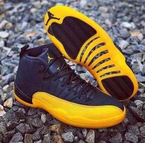 Air Jordan 12 Jumpman