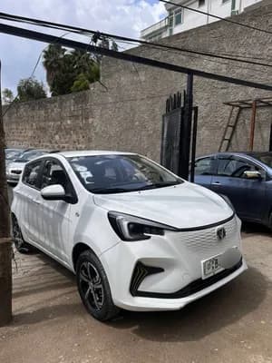 E-Star 2023 Electric Automatic