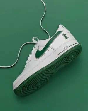 Nike Air Force 1 LeBron Low Shoes