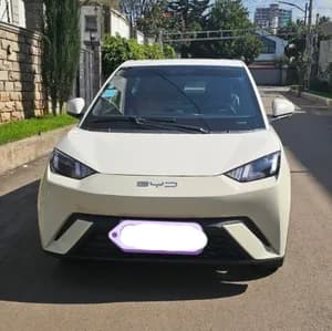 BYD Seagull 2024 used