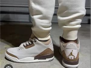 Jordan 3 Palomino
