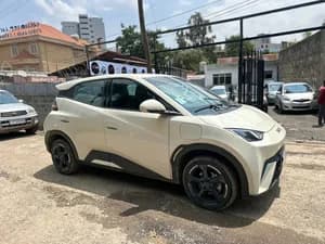 BYD Segul 2024 Electric