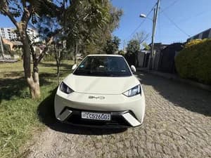BYD Seagull 2023