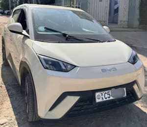 BYD Seagull Premium 2024 Electric