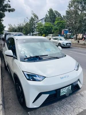 BYD Seagull 2025