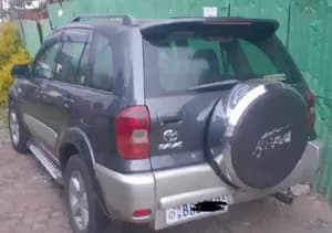 Rava automatic
