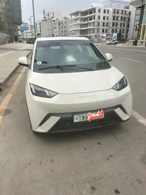 BYD Seagull 2023 Full Electric