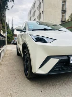 BYD Seagull 2024