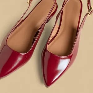 MAX Pointed Toe Shoes with Buckle Closure