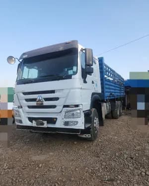 Sino Kasoni Truck 2022