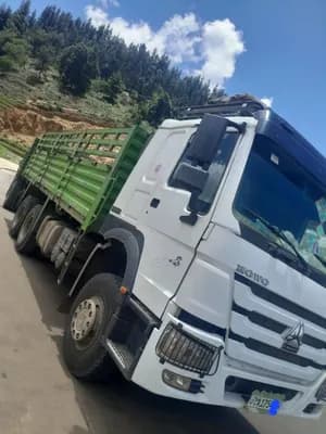Sinotruk Cargo Truck 2022